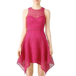 Theia Magenta Lace Dress